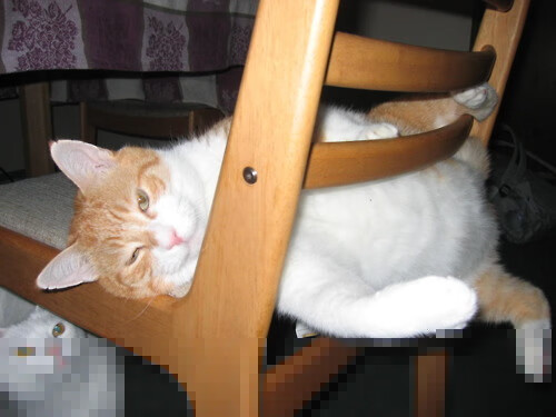 【球员表现分析】泰蒂斯的打击技巧和效率提升,斯蒂夫·泰利