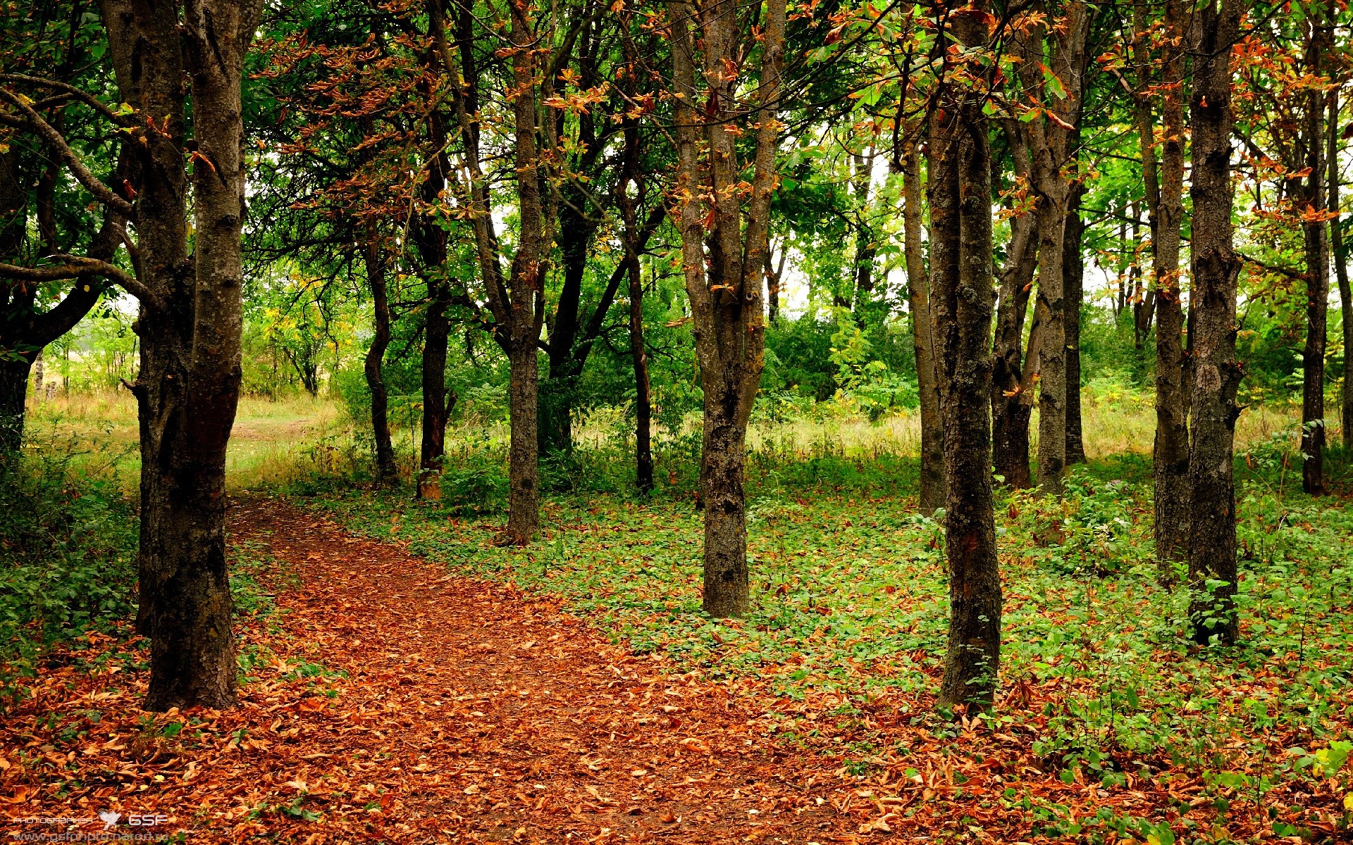 开云备用-奥格斯堡1-1莱比锡，斯坦尼斯拉斯和恩昆库各建一功，奥格斯堡对阵莱比锡红牛
