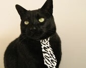 开云电竞-意甲：多名年轻潜力股转会，高价签入持续不断，2021意甲转会最新全一览